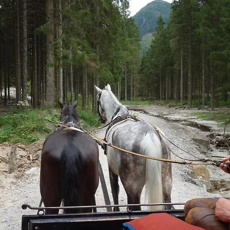 Hoellbacher Semesterbostad Bad Gastein
