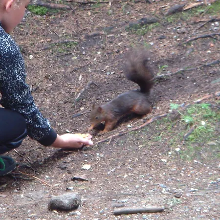 Semesterbostad Hoellbacher Bad Gastein