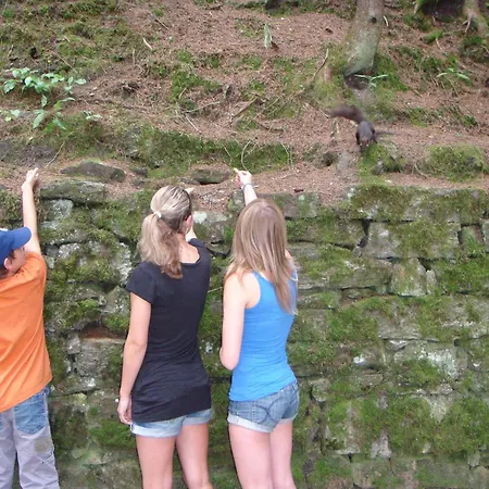 Hoellbacher Semesterbostad *