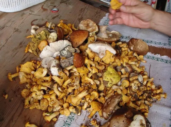 Holiday home Hoellbacher Bad Gastein