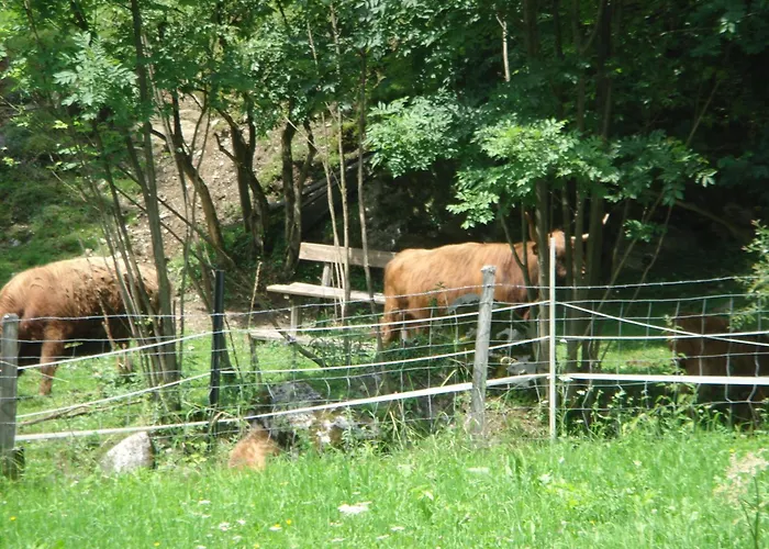 Holiday home Hoellbacher