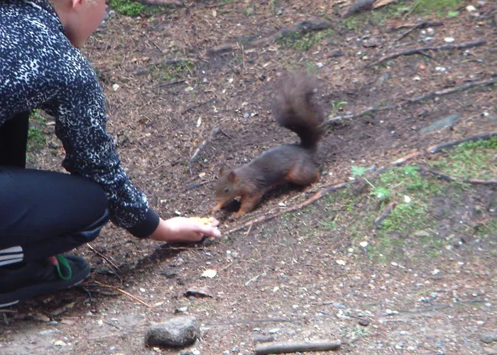 Holiday home Hoellbacher Bad Gastein