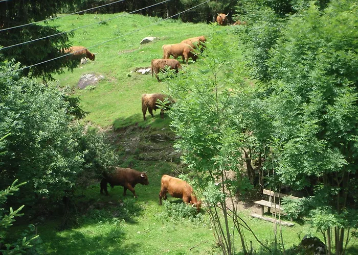 Hoellbacher Holiday home Bad Gastein