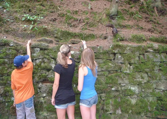 Hoellbacher Holiday home *